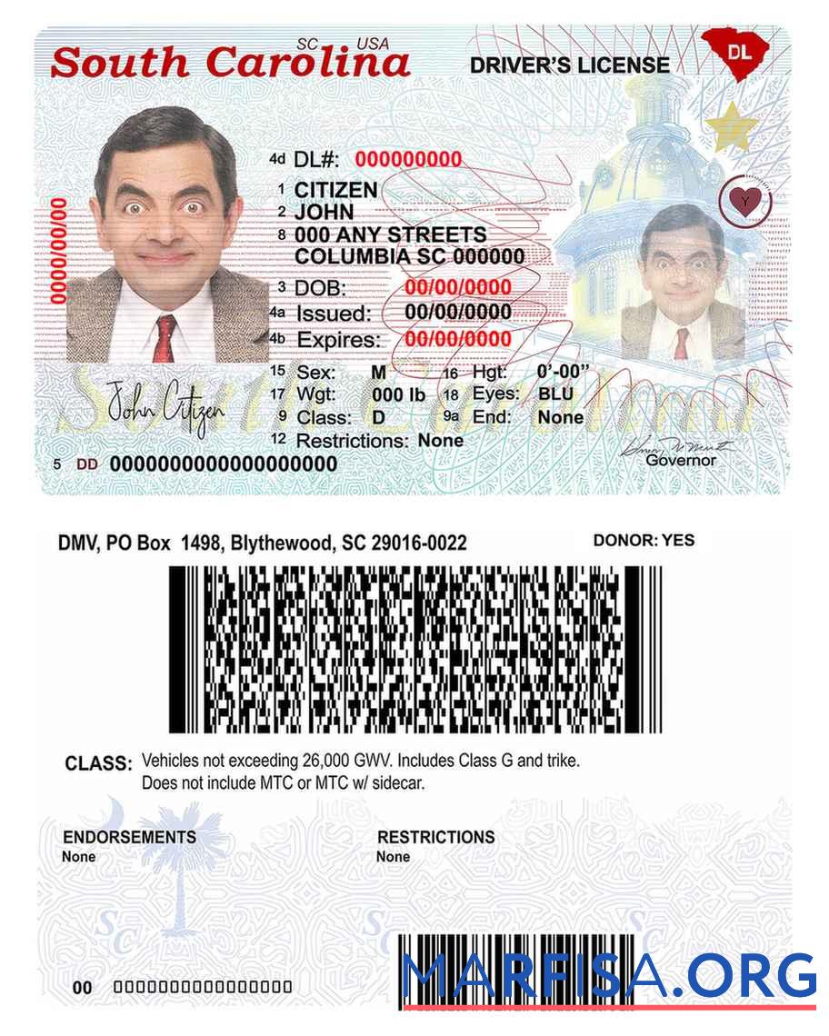 Blank USA South Carolina state driving license (2020 – present) example